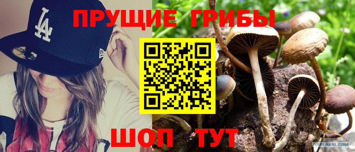 Галлюциногенные грибы мицелий  Вход с VPN  Ржев 